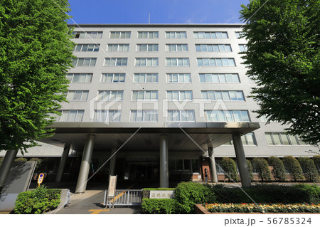 農林水産省 56785324