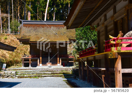日吉大社 東本宮 大物忌神社 日吉大社 東本宮 大物忌神社 56785620