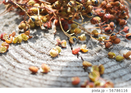 乾燥山椒 乾燥山椒 56786116