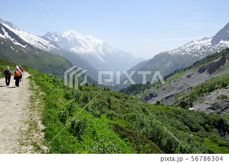 「バルムのコルからシャラミオンへのハイキングコース」からのモンブランとシャモニーの谷 56786304