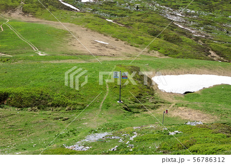 牧草地の傍らを行く「バルムのコルからシャラミオンへのハイキングコース」 56786312