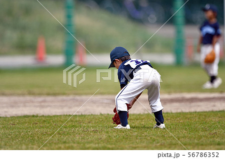 少年野球の男の子 少年野球の男の子 56786352