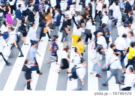 横断歩道の雑踏 56786426