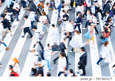 横断歩道の雑踏 横断歩道の雑踏 56786427