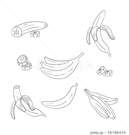 Banana Single And Bunch Outline Illustrations Setのイラスト素材