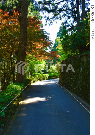 播州清水寺 石垣の道 播州清水寺 石垣の道 56786531