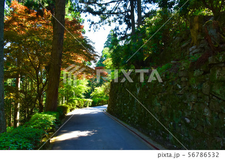 播州清水寺 石垣の道 播州清水寺 石垣の道 56786532