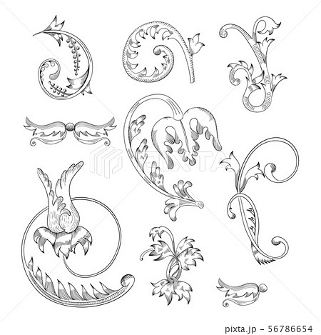 Vintage vector Set. Floral elements for design monograms, invitations, frames, menus and labels. Vintage vector Set. Floral elements for design monograms, invitations, frames, menus and labels. 56786654