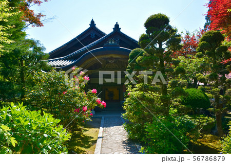 播州清水寺 本坊 播州清水寺 本坊 56786879