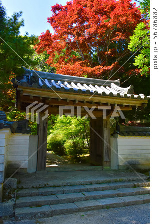 播州清水寺 本坊正門 播州清水寺 本坊正門 56786882