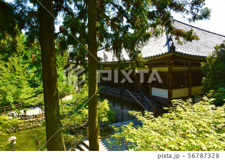 播州清水寺 大講堂 播州清水寺 大講堂 56787328