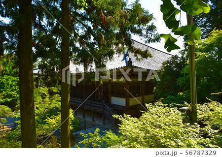 播州清水寺 大講堂 播州清水寺 大講堂 56787329