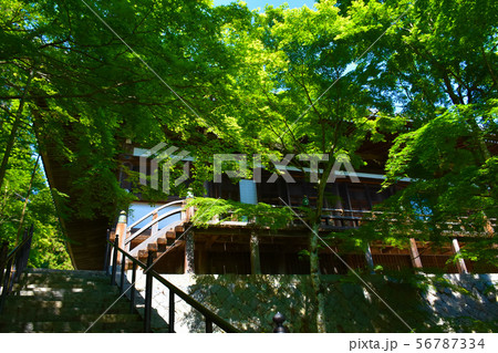 播州清水寺 大講堂 56787334