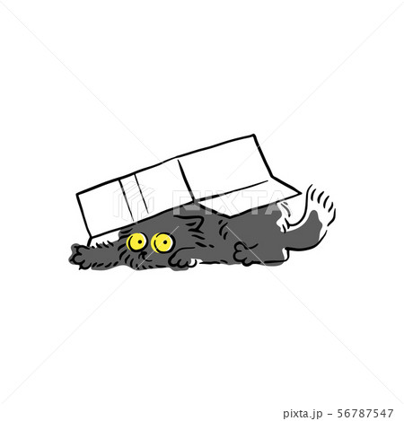 Cute black cat under the cardboard box sketch vector illustration isolated. 56787547