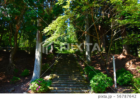 播州清水寺 多宝塔跡 石段の参道 播州清水寺 多宝塔跡 石段の参道 56787642