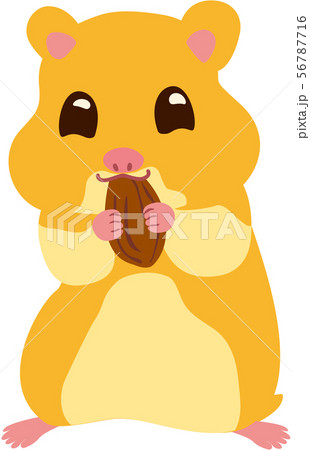 ハムスターヒマワリの種食べるのイラスト素材