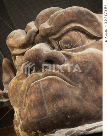 東大寺南大門 金剛力士像 吽形 東大寺南大門 金剛力士像 吽形 56787897