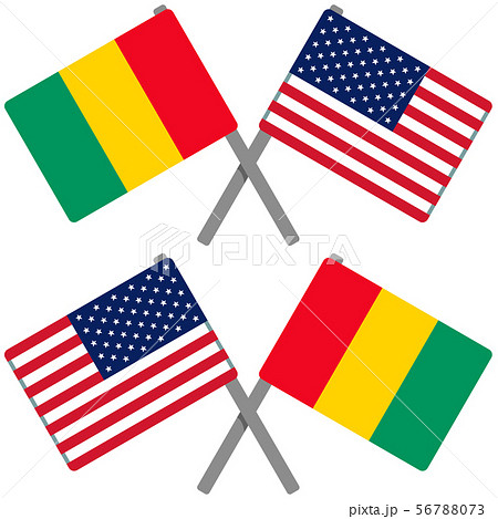 ギニアとアメリカの旗