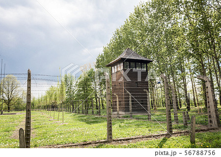 Watchtower and fence on territory of Auschwitz II Watchtower and fence on territory of Auschwitz II 56788756