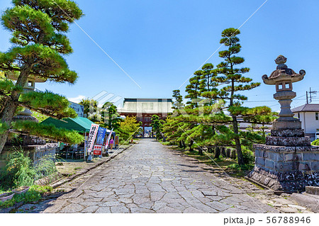 甲斐善光寺、参道 56788946