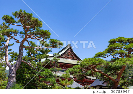 甲斐善光寺 56788947
