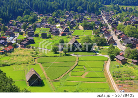 【岐阜県】白川郷城山展望台からの眺望 56789405