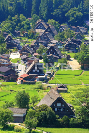 【岐阜県】白川郷城山展望台からの眺望 56789410