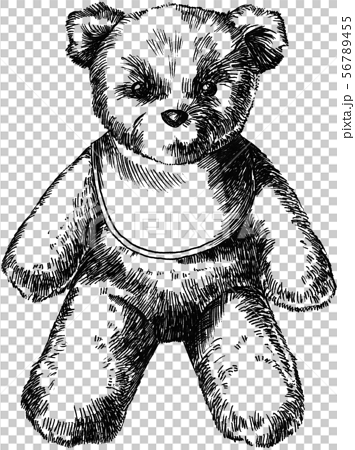 Teddy bear drawing - Stock Illustration [50443636] - PIXTA