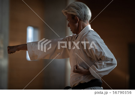 karateka karateka 56790356