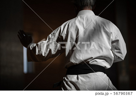 karateka karateka 56790367