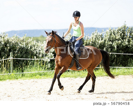 riding girl and horse 56790458