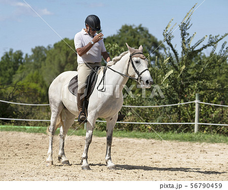 riding man and horse 56790459