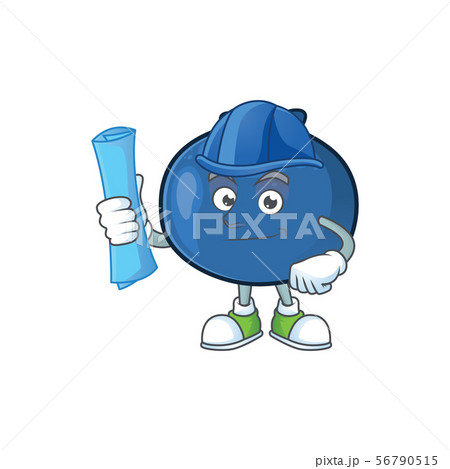 Architect cartoon funny blueberry fruit with mascot 56790515