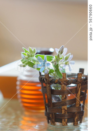 食卓の花 食卓の花 56790660
