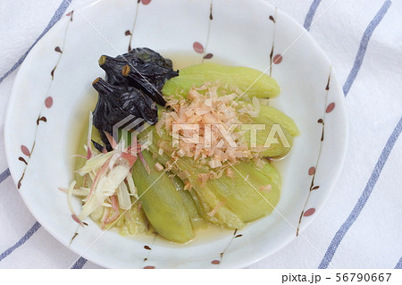 茄子の翡翠煮 茄子の翡翠煮 56790667