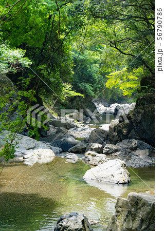 摂津峡 摂津峡 56790786