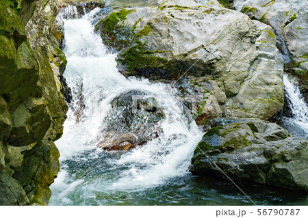 渓流 渓流 56790787