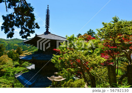 一乗寺 三重塔 国宝 一乗寺 三重塔 国宝 56792130
