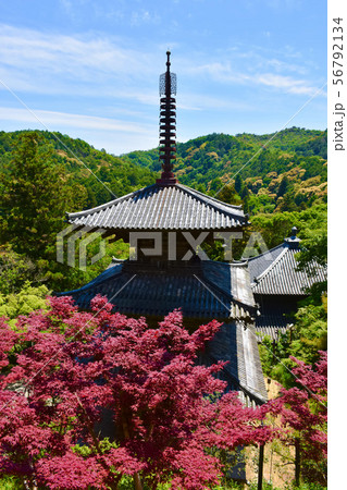 一乗寺 三重塔　国宝 56792134
