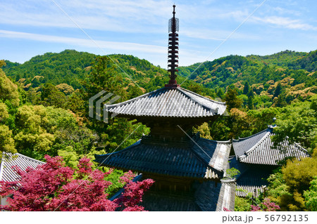 一乗寺 三重塔　国宝 56792135