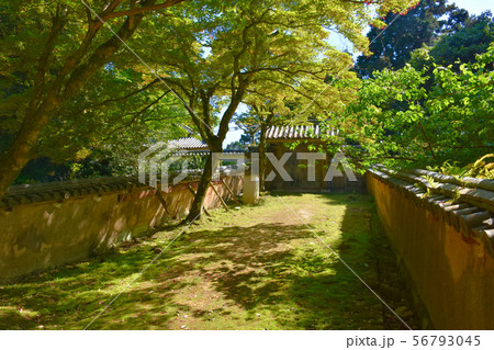 書写山 圓教寺 瑞光院 書写山 圓教寺 瑞光院 56793045