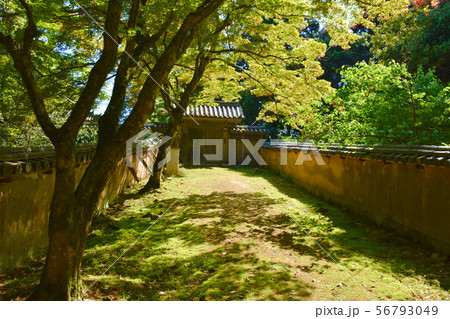 書写山 圓教寺　瑞光院 56793049