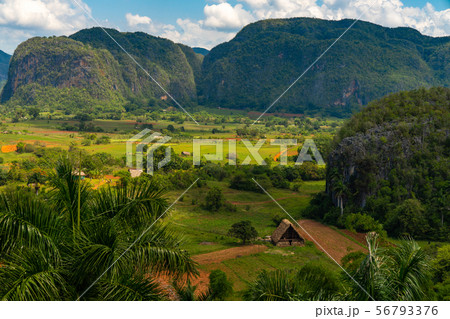 Vinales Valley site in Pinar del Rio of Cuba 56793376