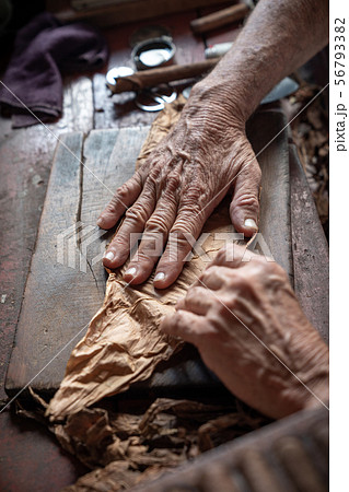 Cigar rolling or making by torcedor in cuba 56793382