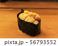 うにの軍艦巻き 56793552