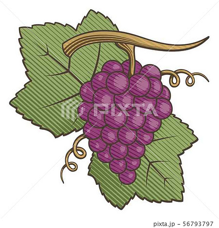 Red Grapes Woodcut 56793797