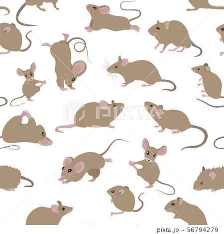 Mice seamless pattern. Mouse yoga poses and Mice seamless pattern. Mouse yoga poses and 56794279