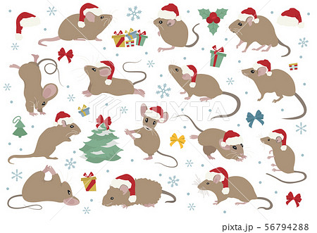 Different mice christmas collection. Mouse poses Different mice christmas collection. Mouse poses 56794288