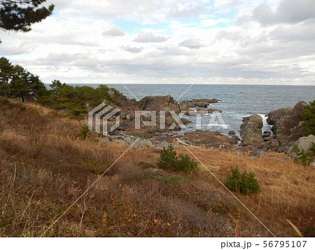 八戸の種差海岸 八戸の種差海岸 56795107