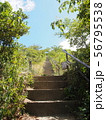 階段 56795538